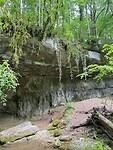 IMG_3949