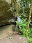 IMG_3959