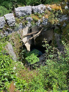 IMG_3967