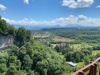 IMG_3973