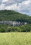 IMG_3974