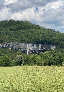 IMG_3974