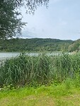 IMG_3990