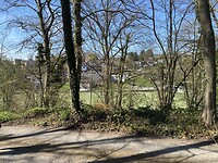 IMG_5523