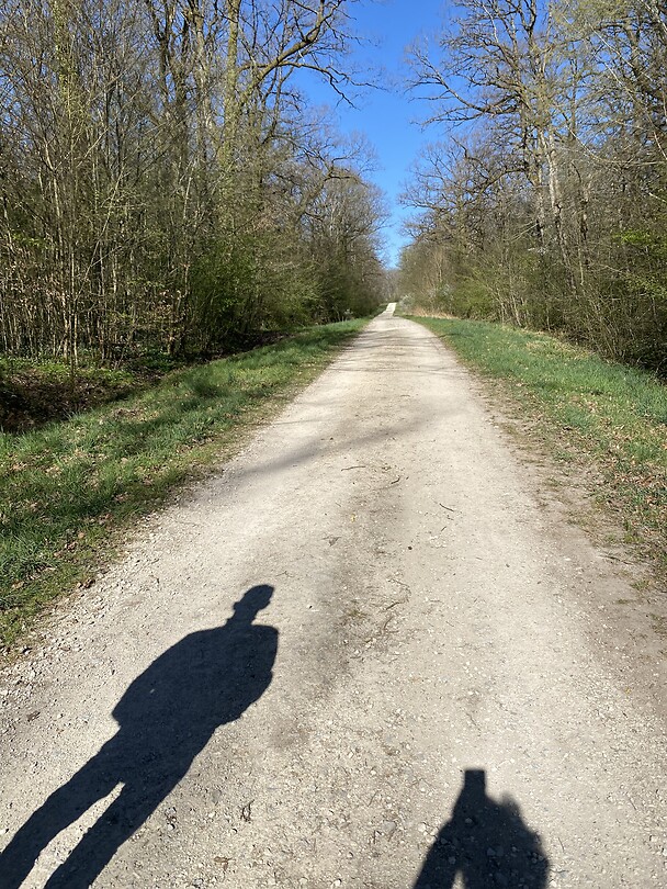IMG_5548