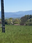 IMG_5591