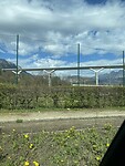 IMG_5607