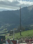 IMG_5611