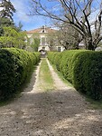 IMG_5659