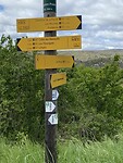 IMG_5667