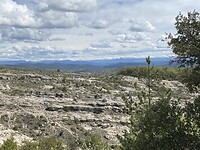IMG_5705