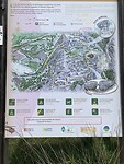 IMG_5706