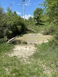 IMG_5802