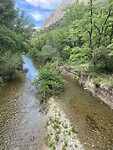 IMG_5853