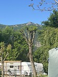IMG_5924