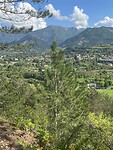 IMG_5926