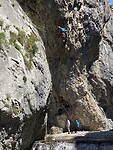 IMG_5944