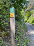 IMG_5991