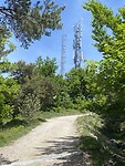 IMG_5993