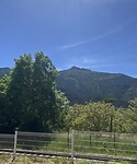 IMG_6026
