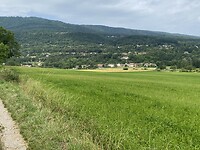 IMG_6116
