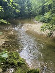 IMG_6145