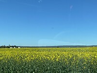 IMG_8902