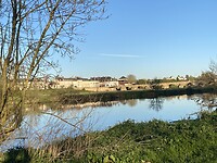 IMG_8917