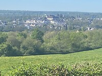 IMG_8937