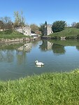IMG_8941