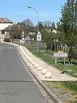 IMG_8943