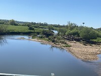 IMG_8950