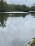 IMG_9031