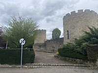 IMG_9050