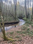 IMG_9074