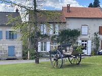 IMG_9108