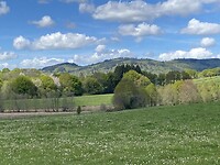 IMG_9112
