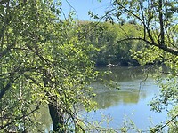 IMG_9169