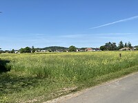 IMG_9171