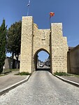 IMG_9196