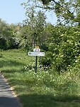 IMG_9205