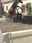 IMG_9233