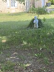 IMG_9245