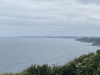 IMG_9305