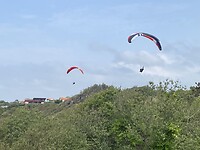 IMG_9336