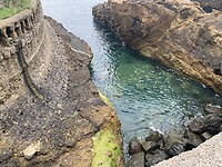 IMG_9365