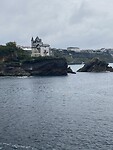 IMG_9382