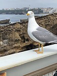 IMG_9383