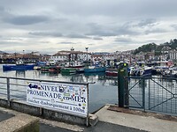 IMG_9404