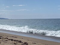 IMG_9444